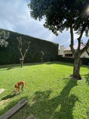 Casa à venda no Juscelino Kubitschek: 