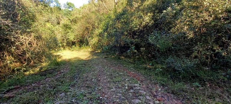 Área Rural à venda no Arroio Grande: 