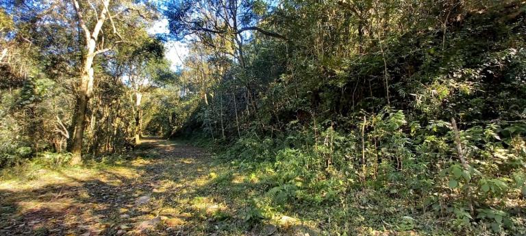 Área Rural à venda no Arroio Grande: 