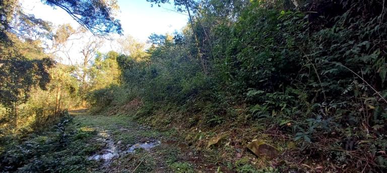 Área Rural à venda no Arroio Grande: 