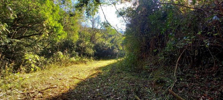 Área Rural à venda no Arroio Grande: 
