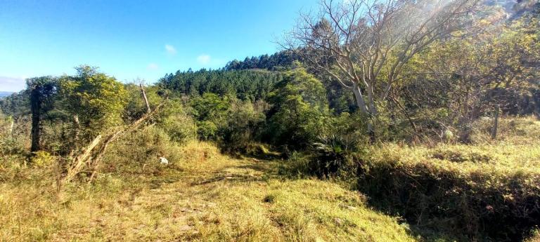 Área Rural à venda no Arroio Grande: 