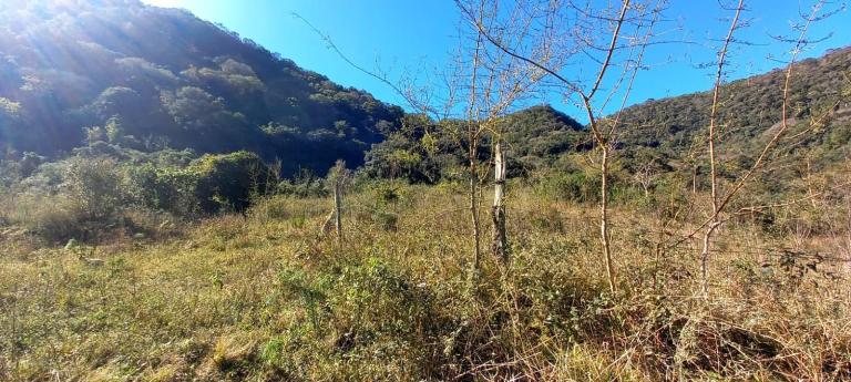 Área Rural à venda no Arroio Grande: 