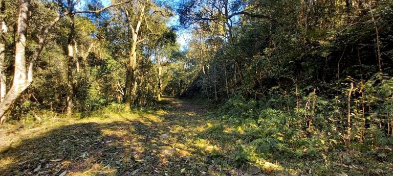 Área Rural à venda no Arroio Grande: 