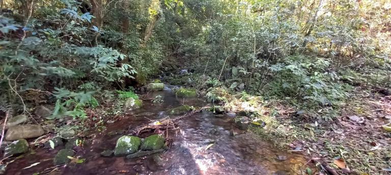 Área Rural à venda no Arroio Grande: 