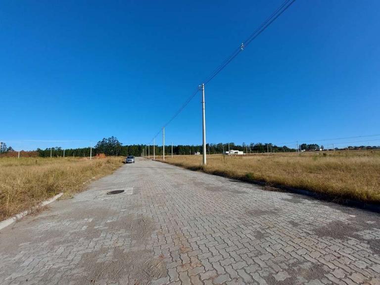 Terreno à venda no Camobi: 