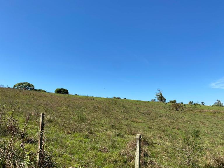 Área Rural à venda no Lorenzi: 