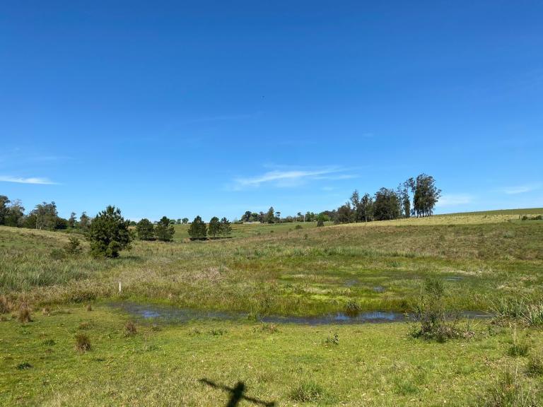 Área Rural à venda no Lorenzi: 