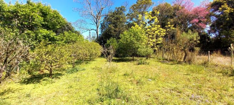 Casa à venda no Boca do Monte: 