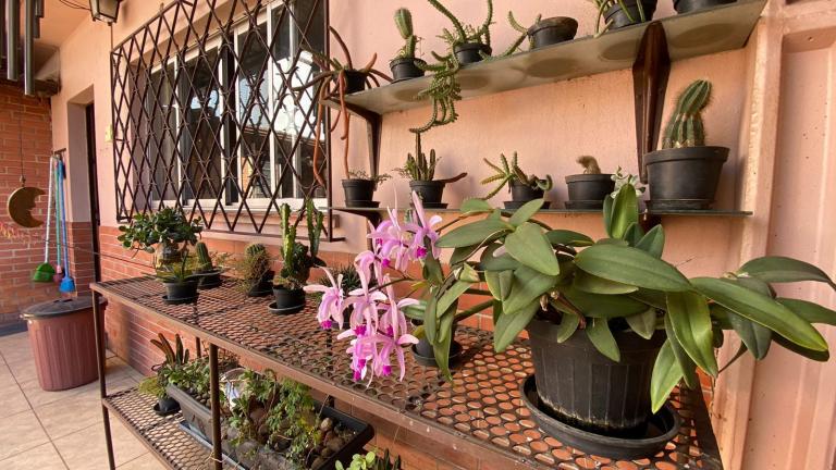 Casa à venda no Centro: 