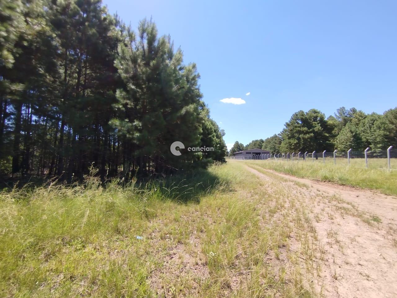 Terreno à venda no Tomazetti: