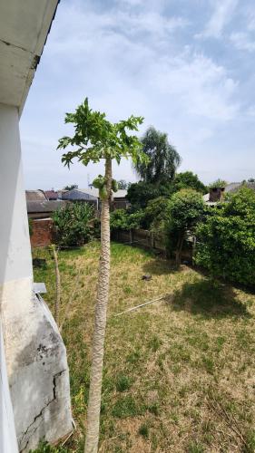 Casa à venda no Tomazetti: 