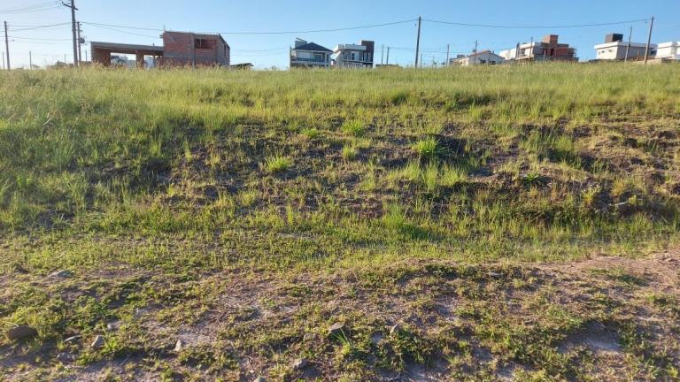 Terreno à venda no Tomazetti: 