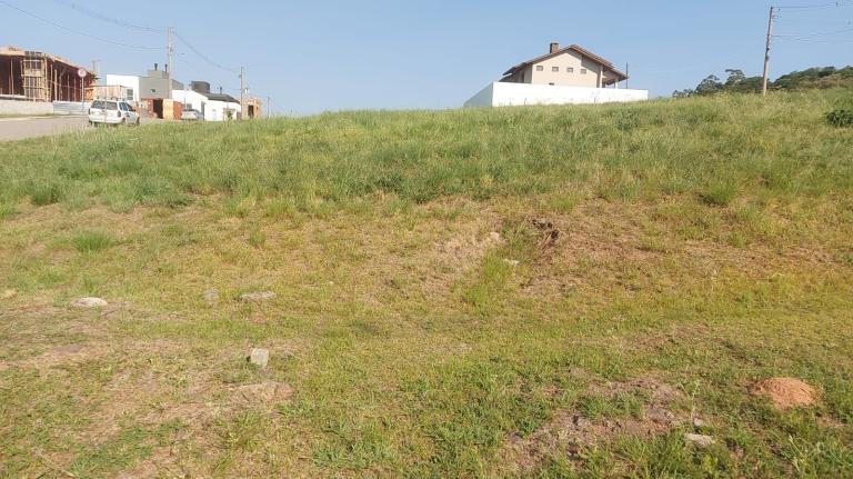 Terreno à venda no Tomazetti: