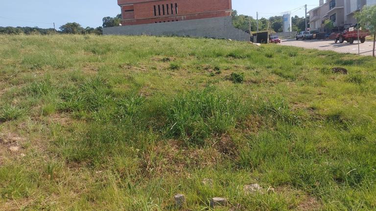 Terreno à venda no Tomazetti: 