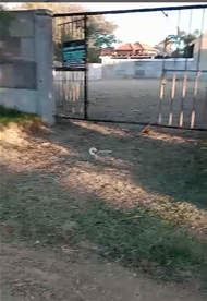 Terreno à venda no Centro: 