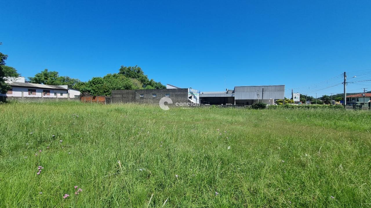 Terreno à venda no Camobi: