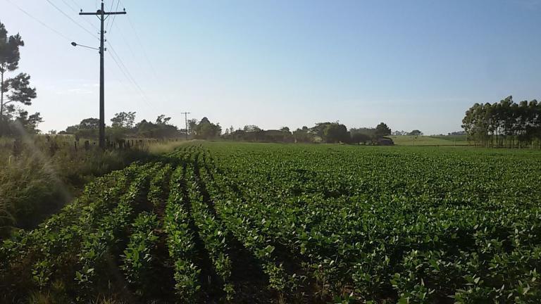 Terreno à venda no Camobi: 