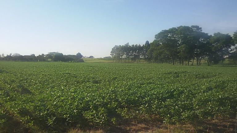 Terreno à venda no Camobi: 