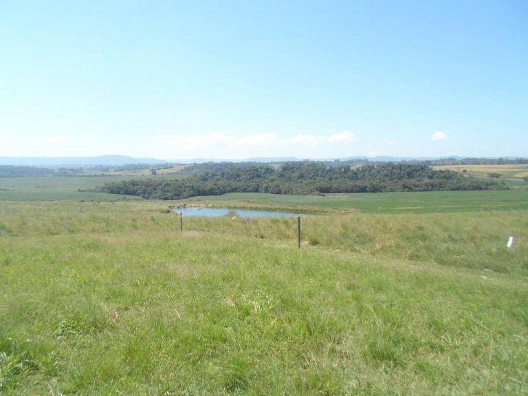 Área Rural à venda no Zona rural: 