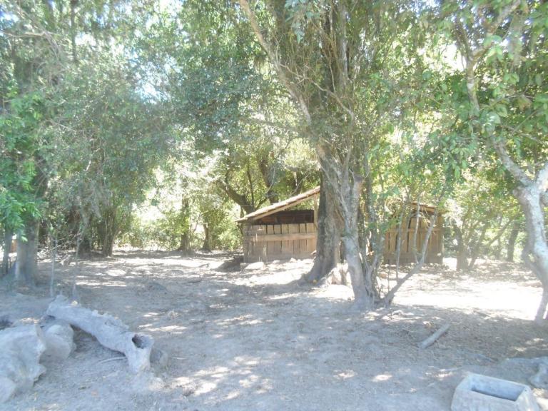 Área Rural à venda no Zona rural: 