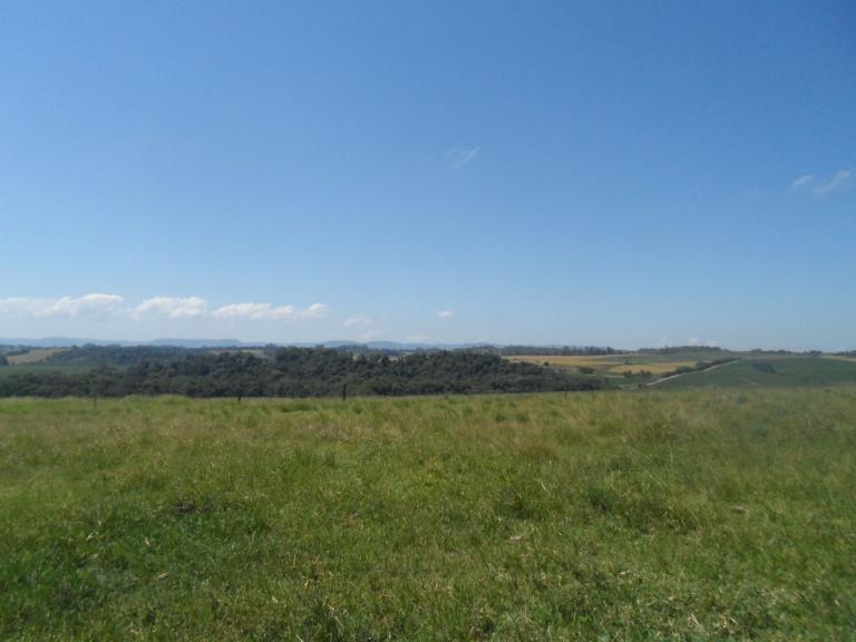 Área Rural à venda no Zona rural: 