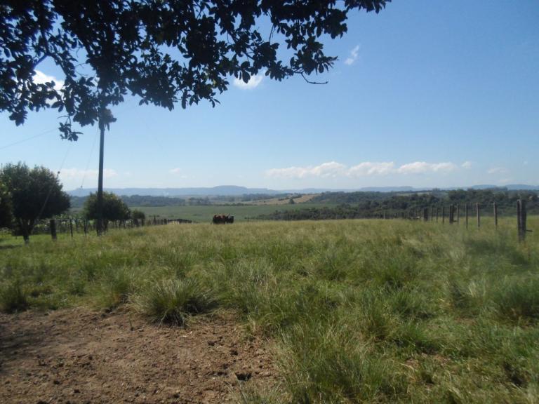 Área Rural à venda no Zona rural: 