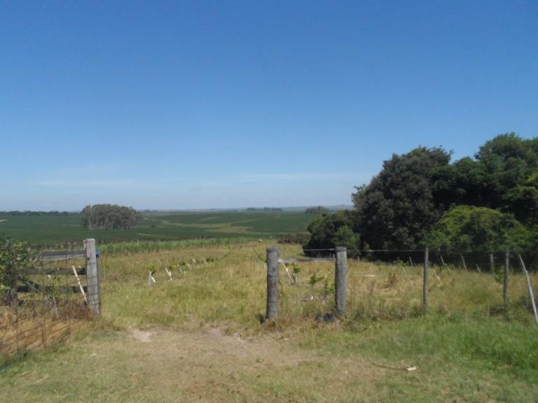 Área Rural à venda no Zona rural: 
