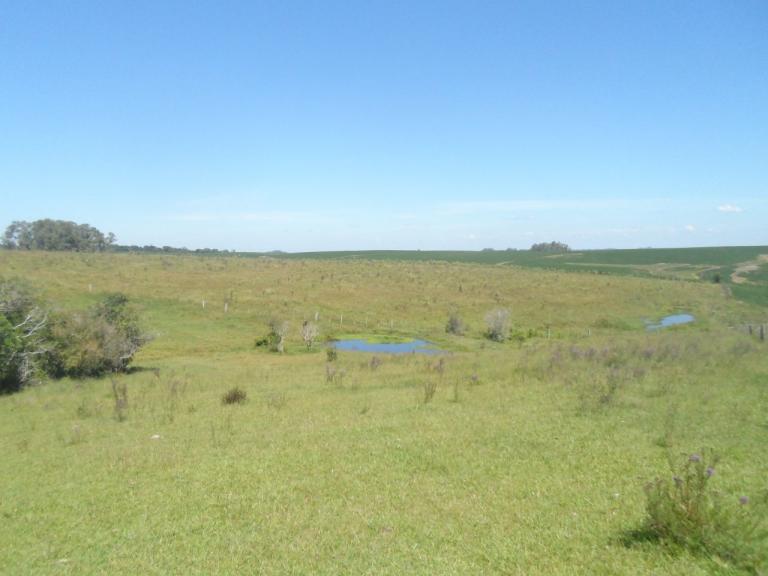 Área Rural à venda no Zona rural: 