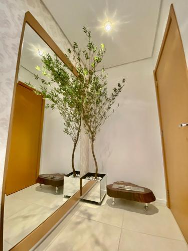 Apartamento à venda no Nossa Senhora das Dores: