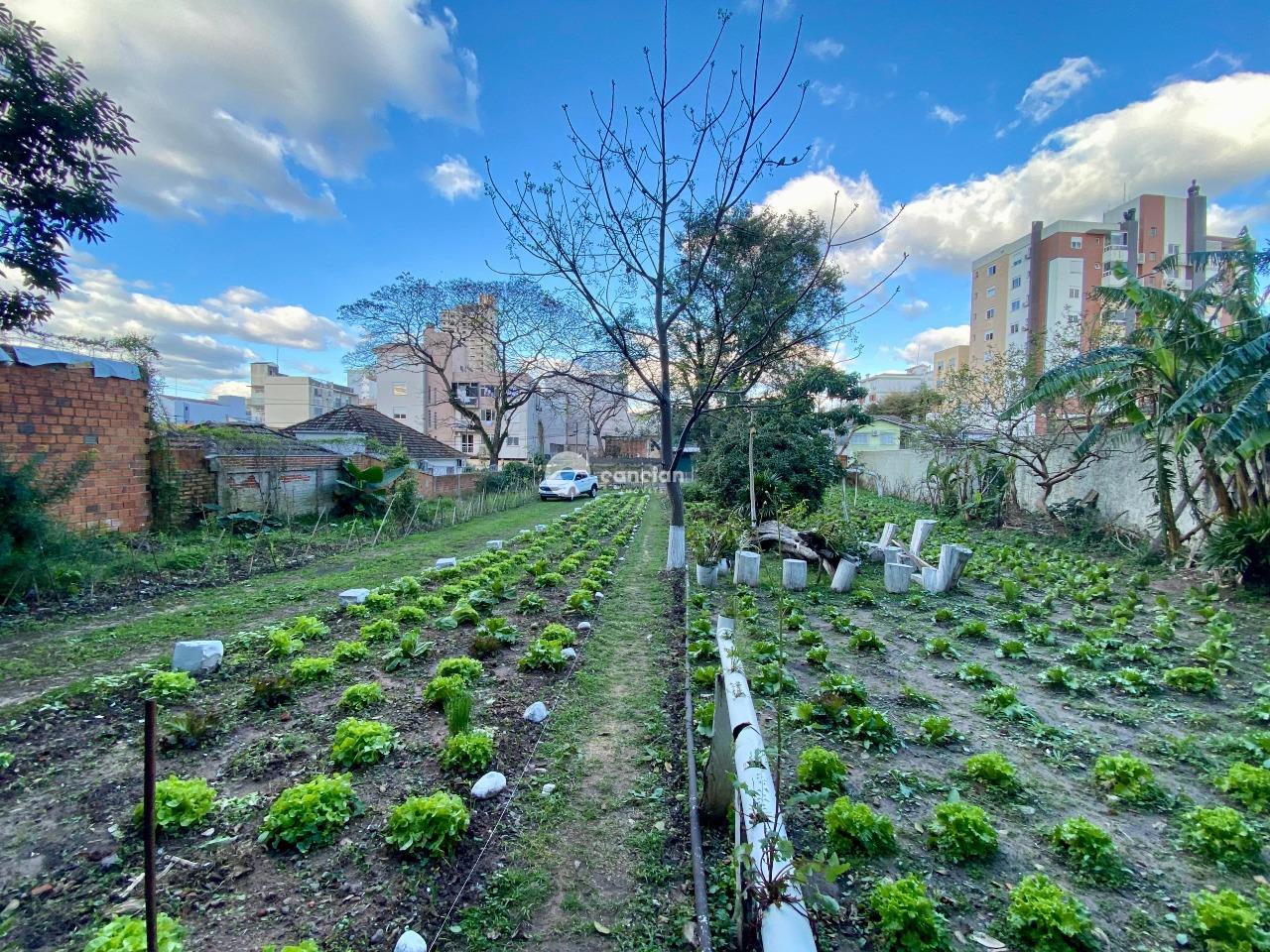 Terreno à venda no Menino Jesus:
