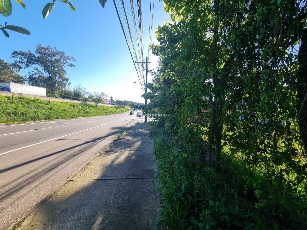 Terreno à venda no Camobi: 