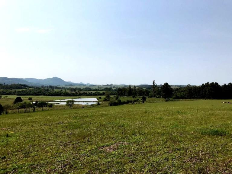 Área Rural à venda no Zona rural: 