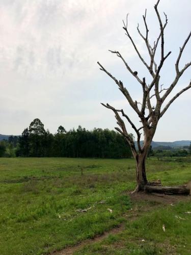 Área Rural à venda no Zona rural: 