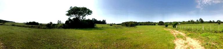 Área Rural à venda no Zona rural: 