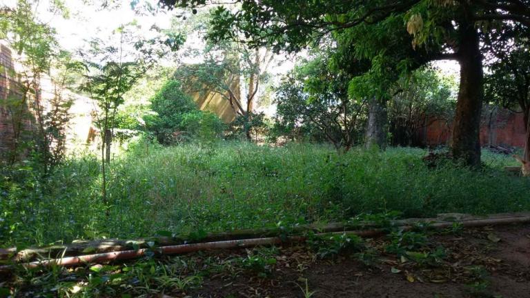 Terreno à venda no Passo D'Areia: 