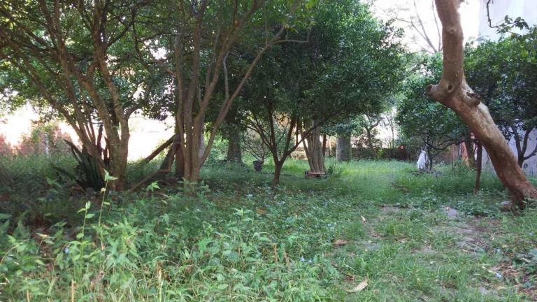 Terreno à venda no Passo D'Areia: 