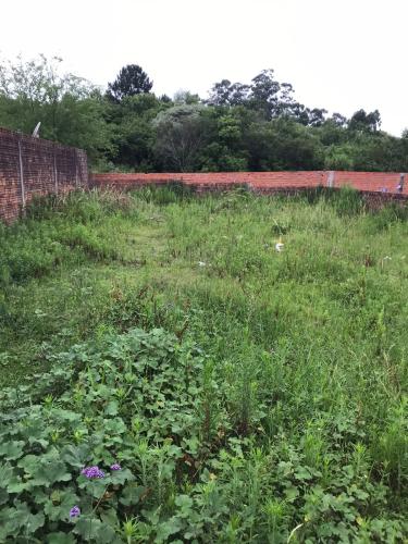 Terreno à venda no Urlândia: 