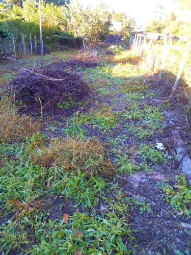 Terreno à venda no Camobi: 