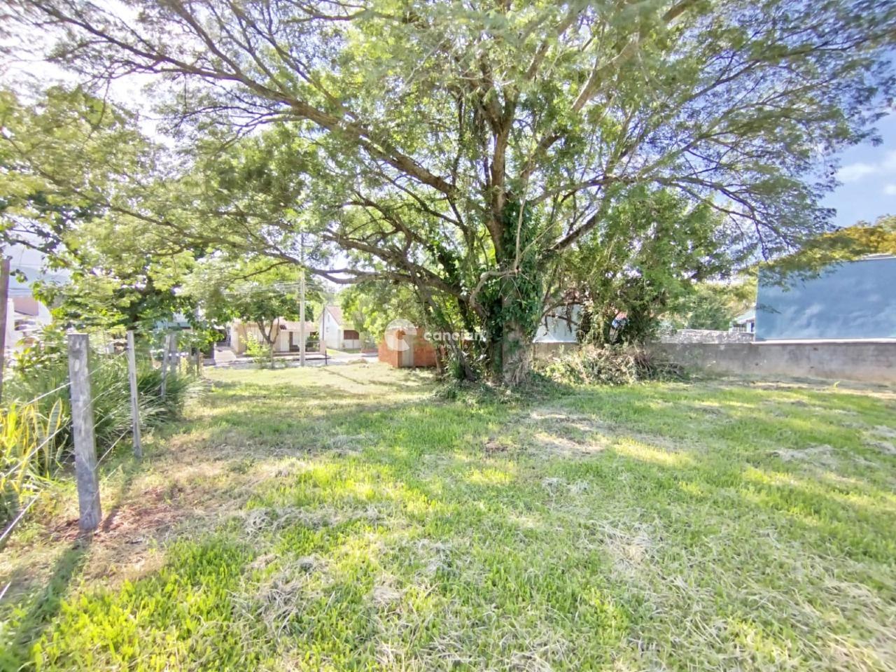 Terreno à venda no São José: 