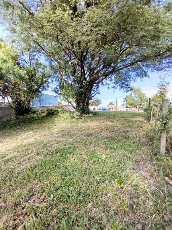 Terreno à venda no São José: 