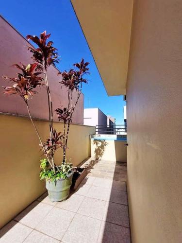 Cobertura à venda no Nossa Senhora de Fátima: 