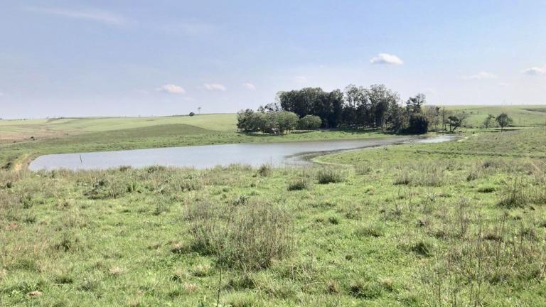 Terreno à venda no Nenhum: