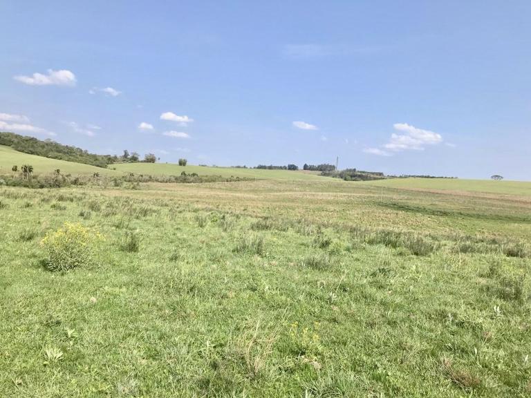 Terreno à venda no Nenhum: