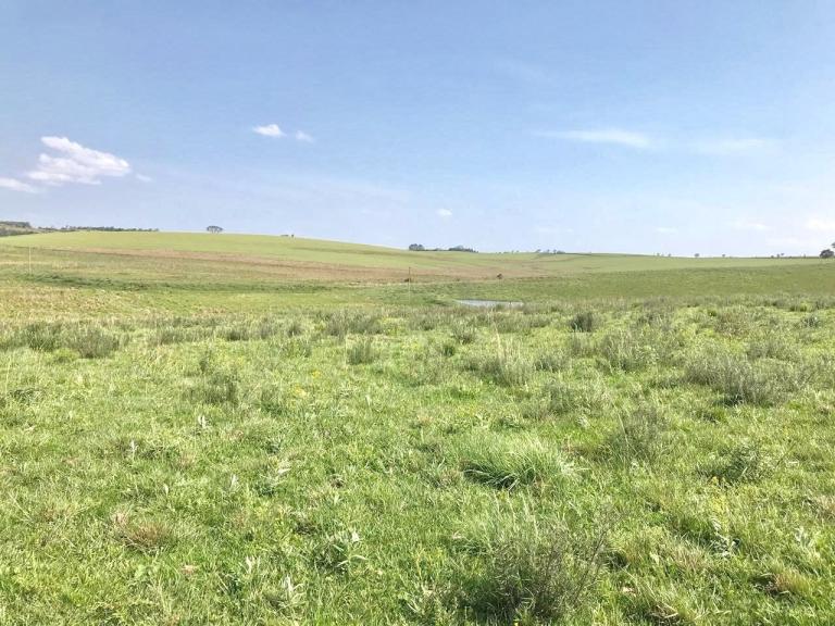 Terreno à venda no Nenhum: