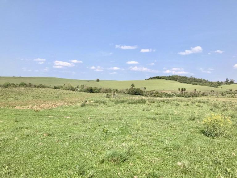 Terreno à venda no Nenhum: