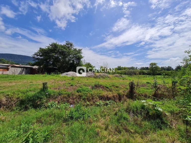 Terreno à venda no Camobi: 