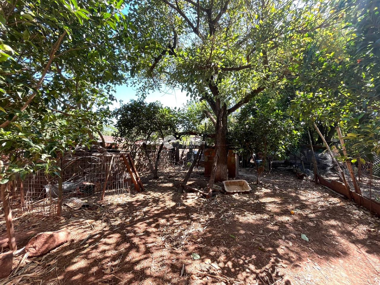 Casa à venda no Caturrita: 