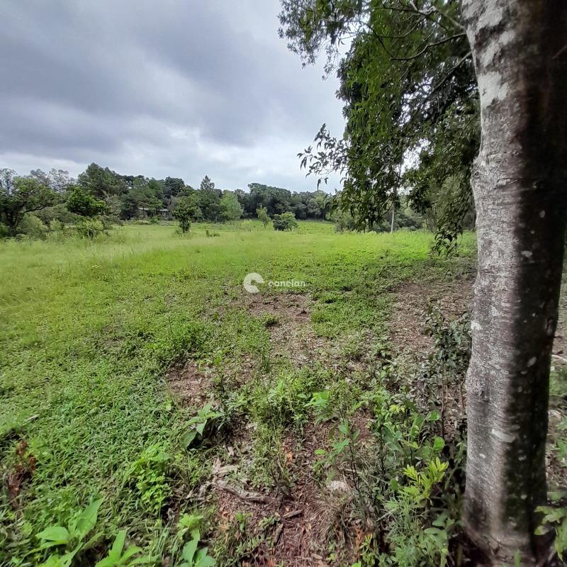 Terreno à venda no Parque Pinhal: 