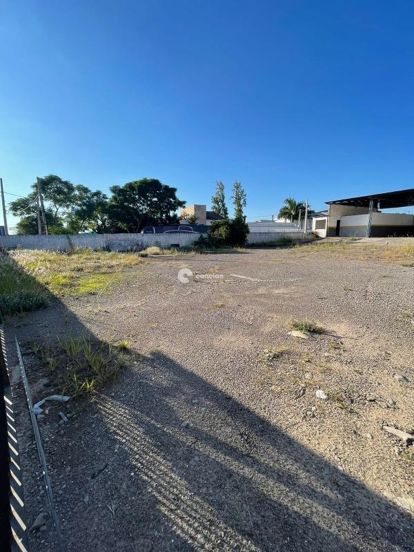 Terreno à venda no Tomazetti: 